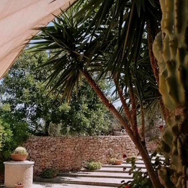 Masseria Agriturismo Il Sorriso Degli Ulivi - Dimora Di Charme Галлиполи Экстерьер фото