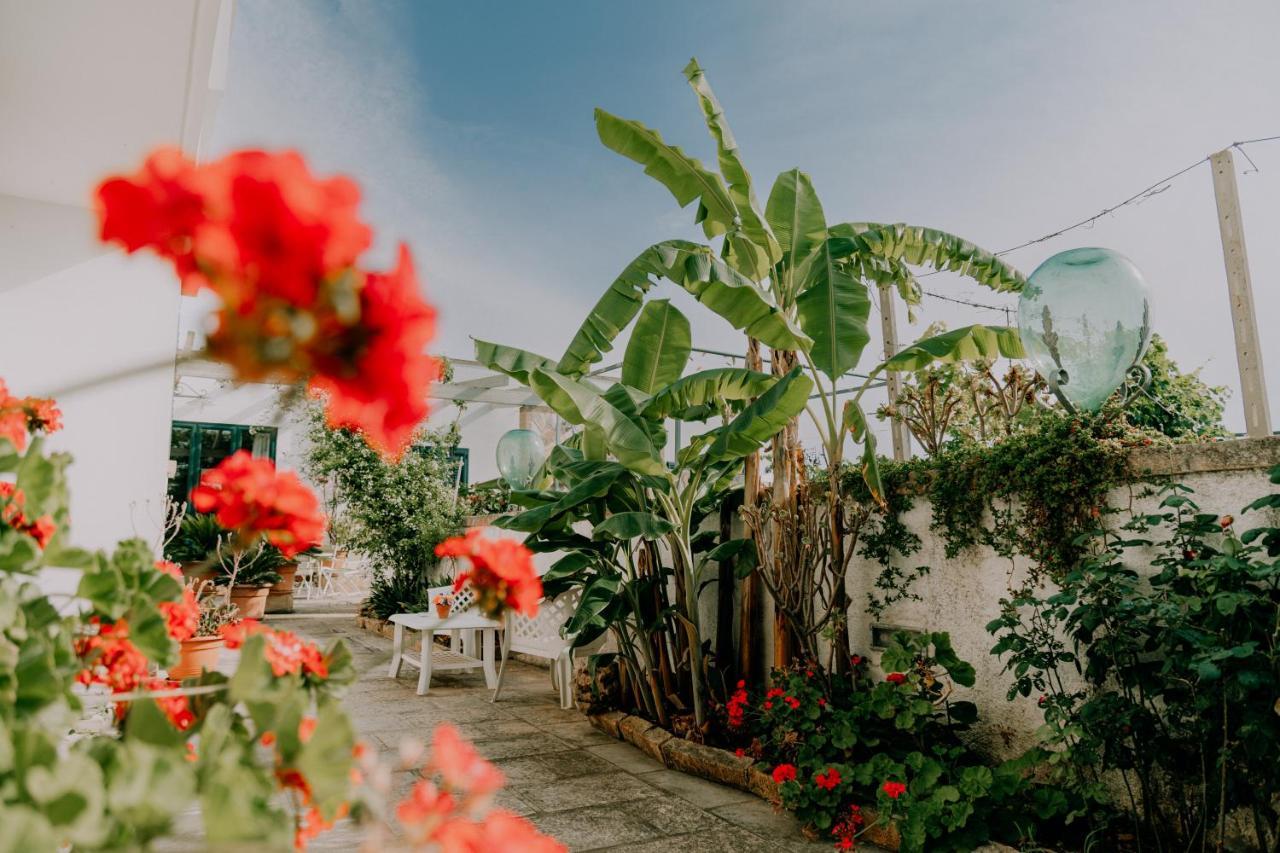 Masseria Agriturismo Il Sorriso Degli Ulivi - Dimora Di Charme Галлиполи Экстерьер фото